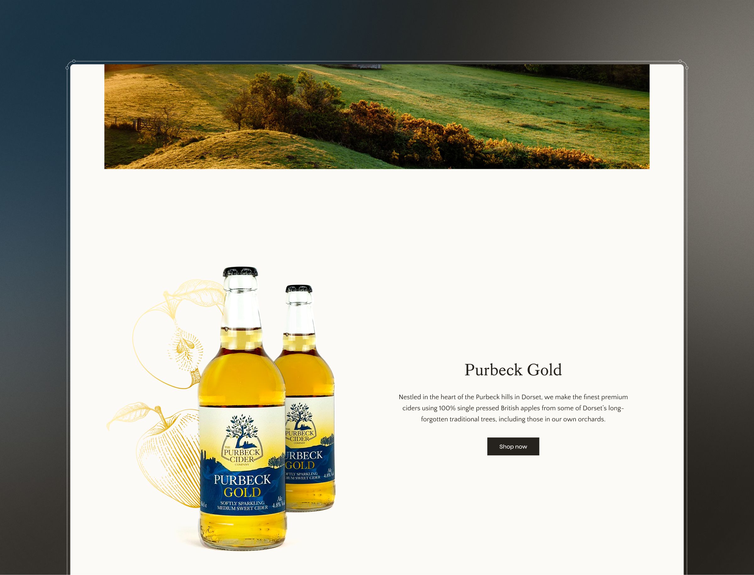 Purbeck Cider Design